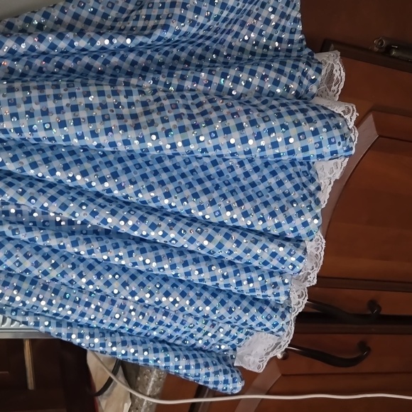 The wizard of Oz costume dress Size 6-8 - Picture 3 of 4